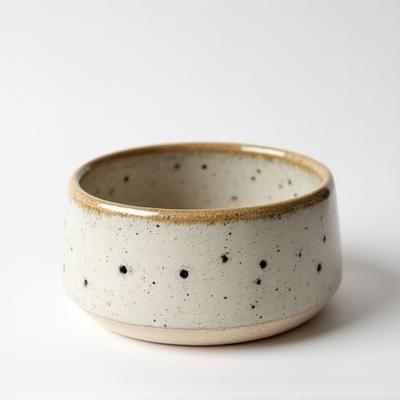 Ceramic cat bowl set